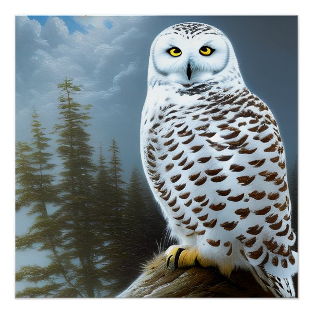 Póster Majexpressa Snowy Owl (Frente)