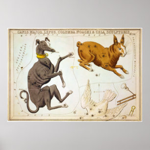 Póster Major de Canis, Lepus, Columba Noachi & escultor