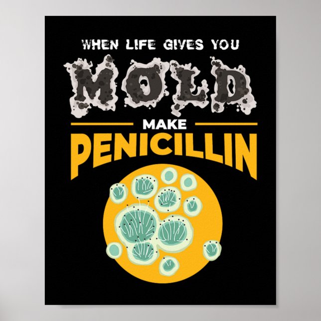 Poster Make Penicillin Microbiology Chemistry (Frente)