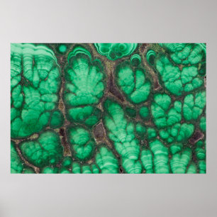 Poster Malachite verde padrão
