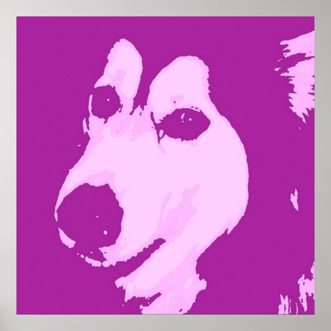 Póster Malamute (Frente)