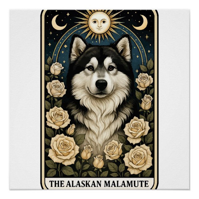 Póster Malamute do Alasca (Frente)