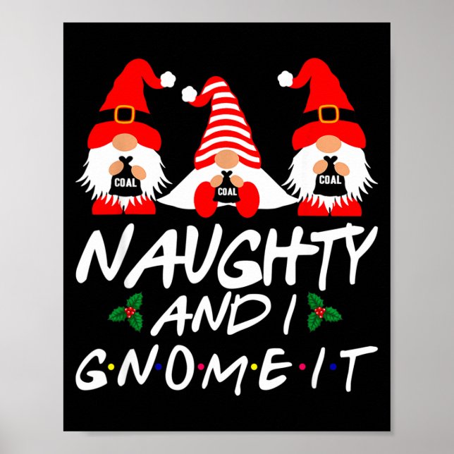 Poster Malandro E Eu Conheço Isso Gnomo De Natal Gnomo De (Frente)