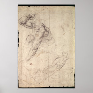 Póster Male figure study