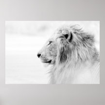 MALE LION - PRETO E BRANCO