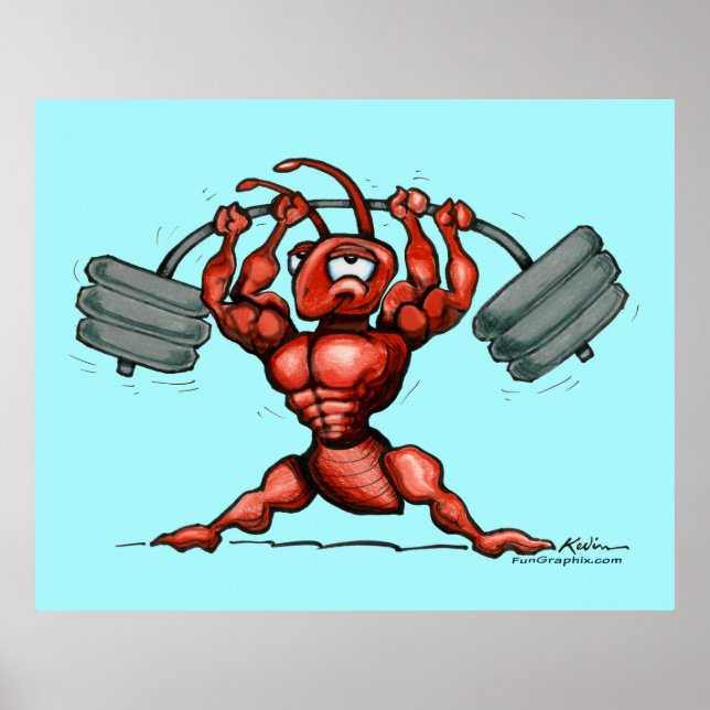 Poster malhação (Frente)