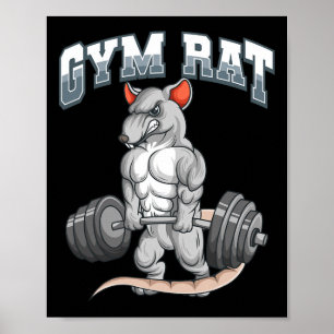 Poster Malhação de Gym Rat