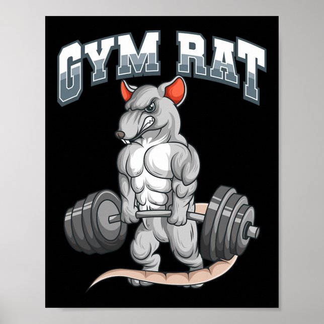 Poster Malhação de Gym Rat (Frente)