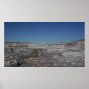 Poster Malhas da Floresta Petrificada