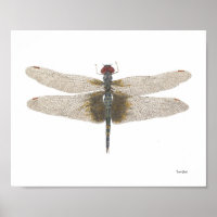 Malho Negro Saddlebags Dragonfly Watercolor