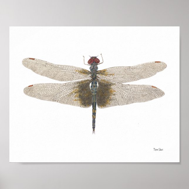 Póster Malho Negro Saddlebags Dragonfly Watercolor (Frente)