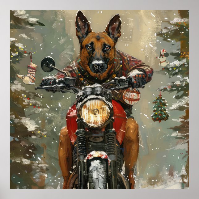 Poster Malinoi Belga - Natal (Frente)