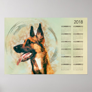 Póster Malinois Belga - Mecelaar - Calendário 2018