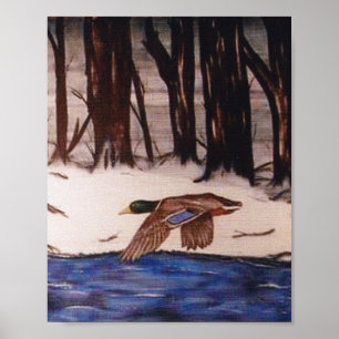 Poster Mallard Duck em uma missão