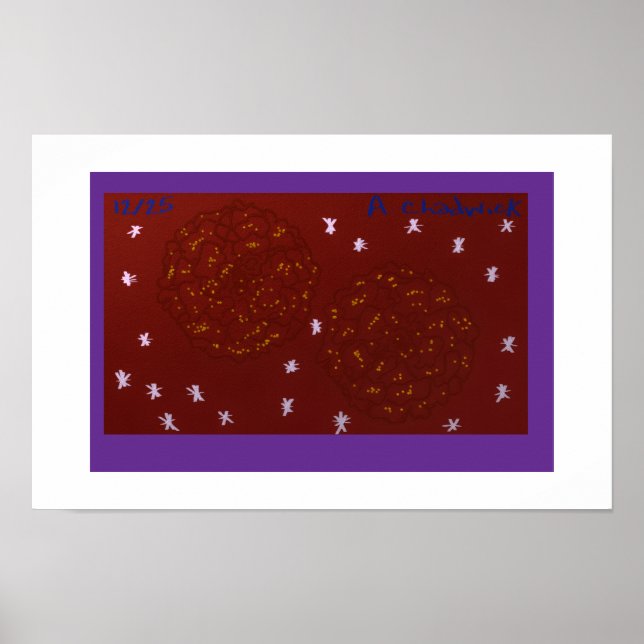 Poster Malmequeres com Estrelas (Frente)