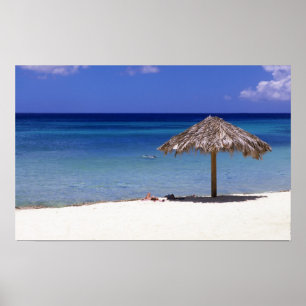 Póster Malmok Beach, Aruba, Antilhas Neerlandesas