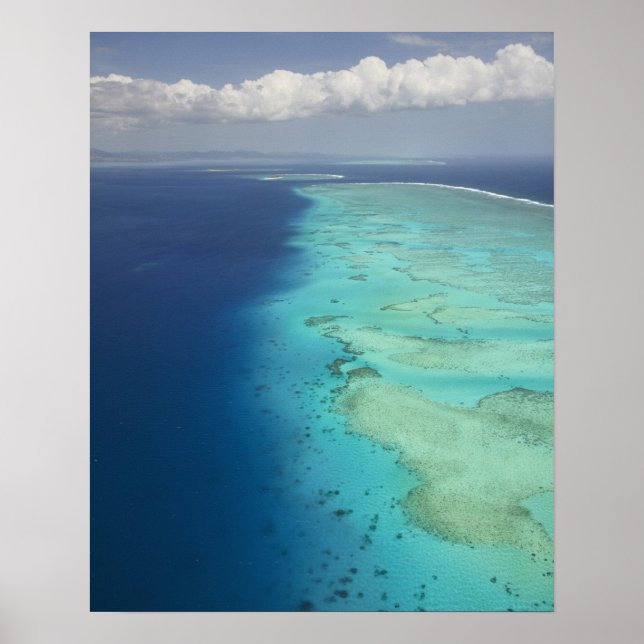 Póster Malolo Barrier Reef da ilha Malolo, Fiji (Frente)