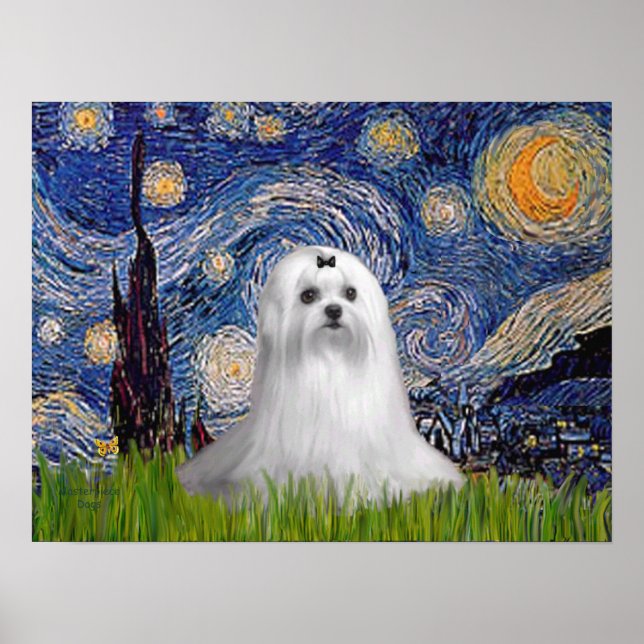 Póster Maltês (C) - Noite Estrelada (Frente)