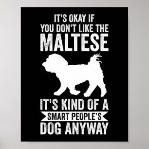 Poster Maltês Cão Apenas Um Menino Que Ama Maltês Cita Ho