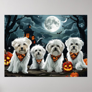 Poster Maltês Halloween Spooky