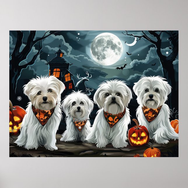 Poster Maltês Halloween Spooky (Frente)