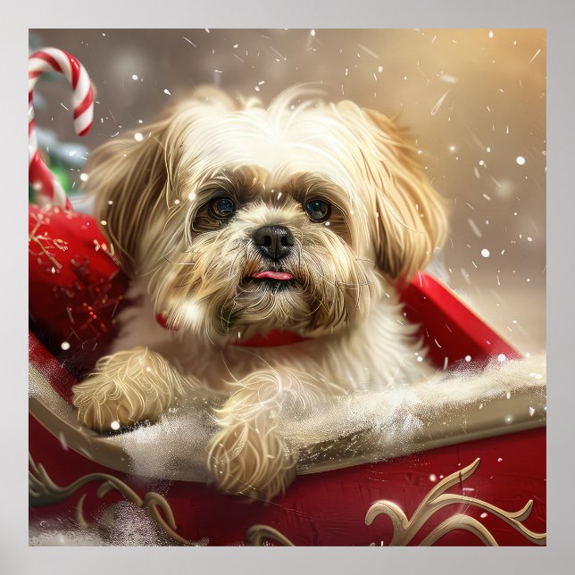 Poster Malti Tzu Cão Natal Festivo (Frente)