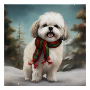 Póster Malti Tzu Dog no Natal da Neve