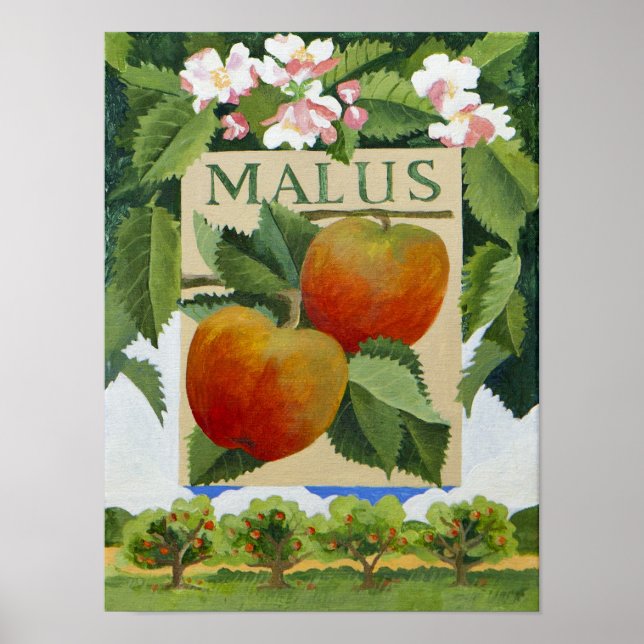 Póster Malus (Frente)