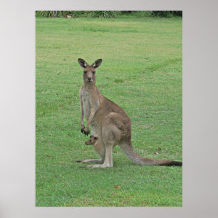 Poster Mama Roo e Joey