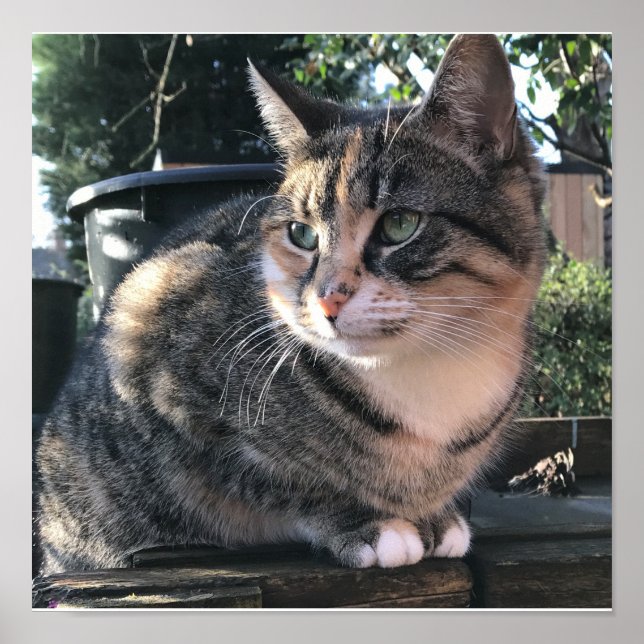 Poster Mamma de Ruby, Sra. Ribby (Frente)