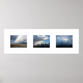 Poster Mammoth 3 Fotos (40x13.33) 180dpi