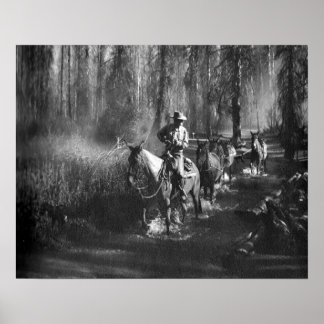 Póster Mammoth Mules