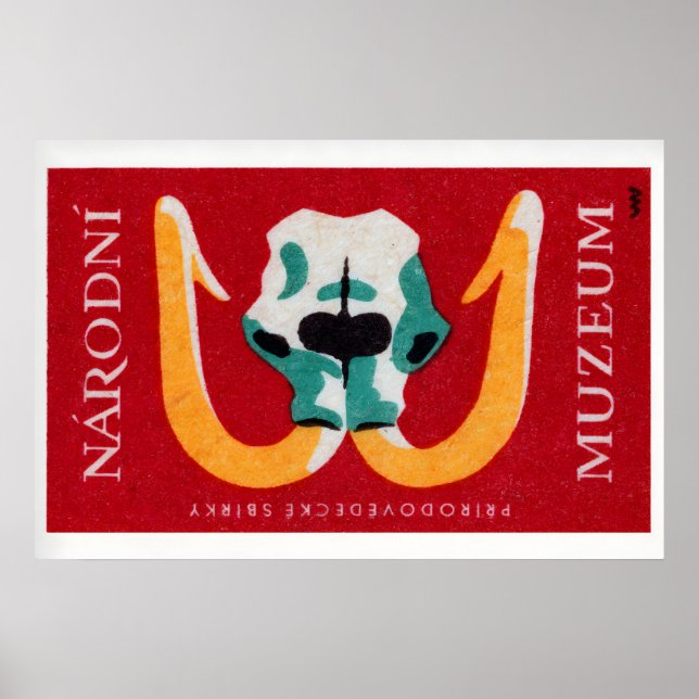 Poster Mammoth Skull - Matchbox Print - Czech Wall Art (Frente)