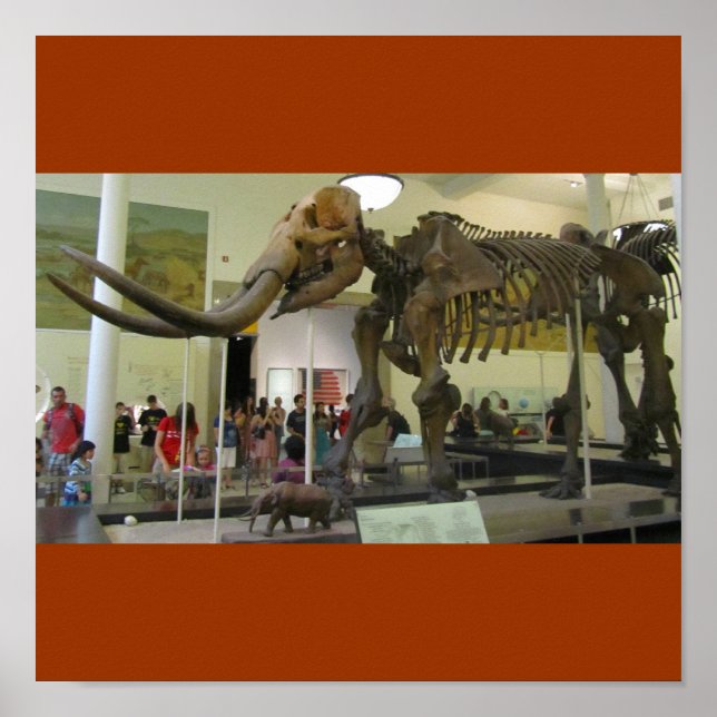 Póster Mamute! (Frente)