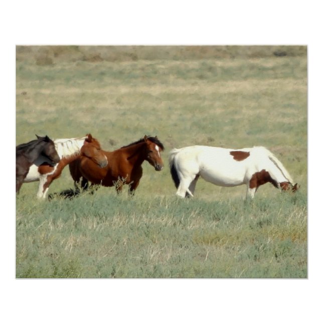 Póster Manada de cavalos selvagens (Frente)