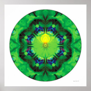 Poster Mandala cura 3