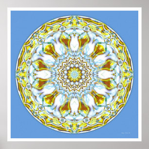 Póster Mandala cura 8