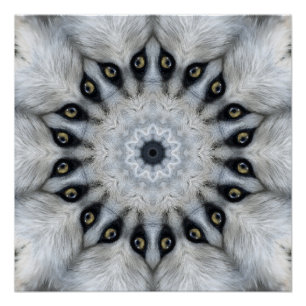 Póster Mandala de Lobo Olhos Ferozes e Simetria Peluda