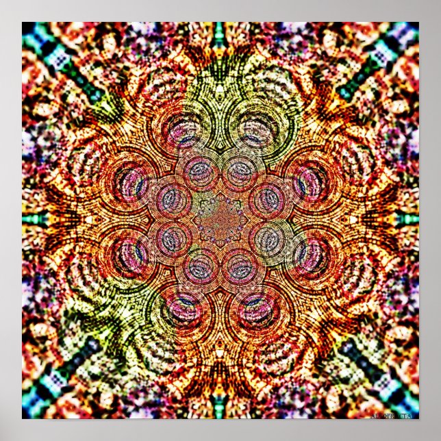 Poster Mandala Fungues 3 (Frente)