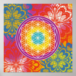 Poster Mandala zen flor da vida