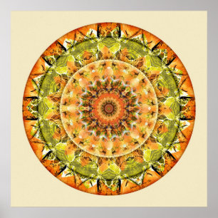 Poster Mandalas da confiança profunda, no. 10