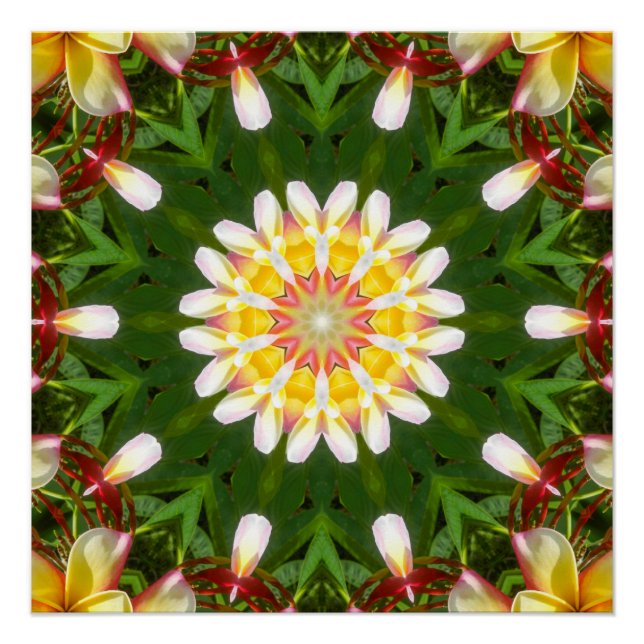 Póster Mandalas de Flor de Plumeria com Simetria Tropical (Frente)