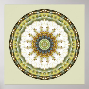 Póster Mandalas do coração da paz, no. 5