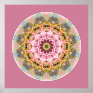 Póster Mandalas do coração da transformação, no. 1