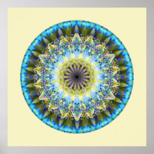 Poster Mandalas do coração da transformação, no. 8
