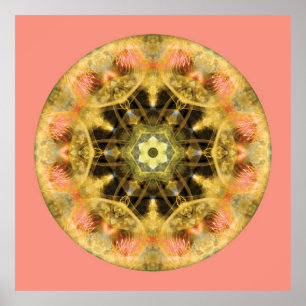 Póster Mandalas from the Heart of Transformation, No. 4