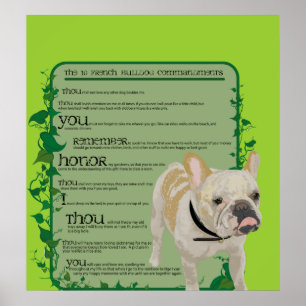 Póster Mandamentos do buldogue francês