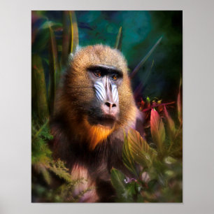 Poster Mandril Baboon MASK NA JUNGLE