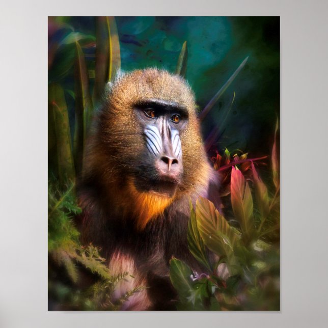 Poster Mandril Baboon MASK NA JUNGLE (Frente)