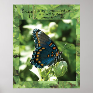 Póster Maneira 13 da borboleta - estada conectada